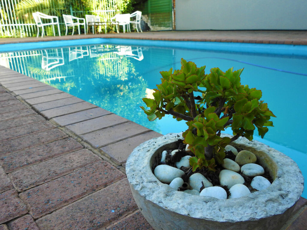 Lantern Guesthouse garden and pool